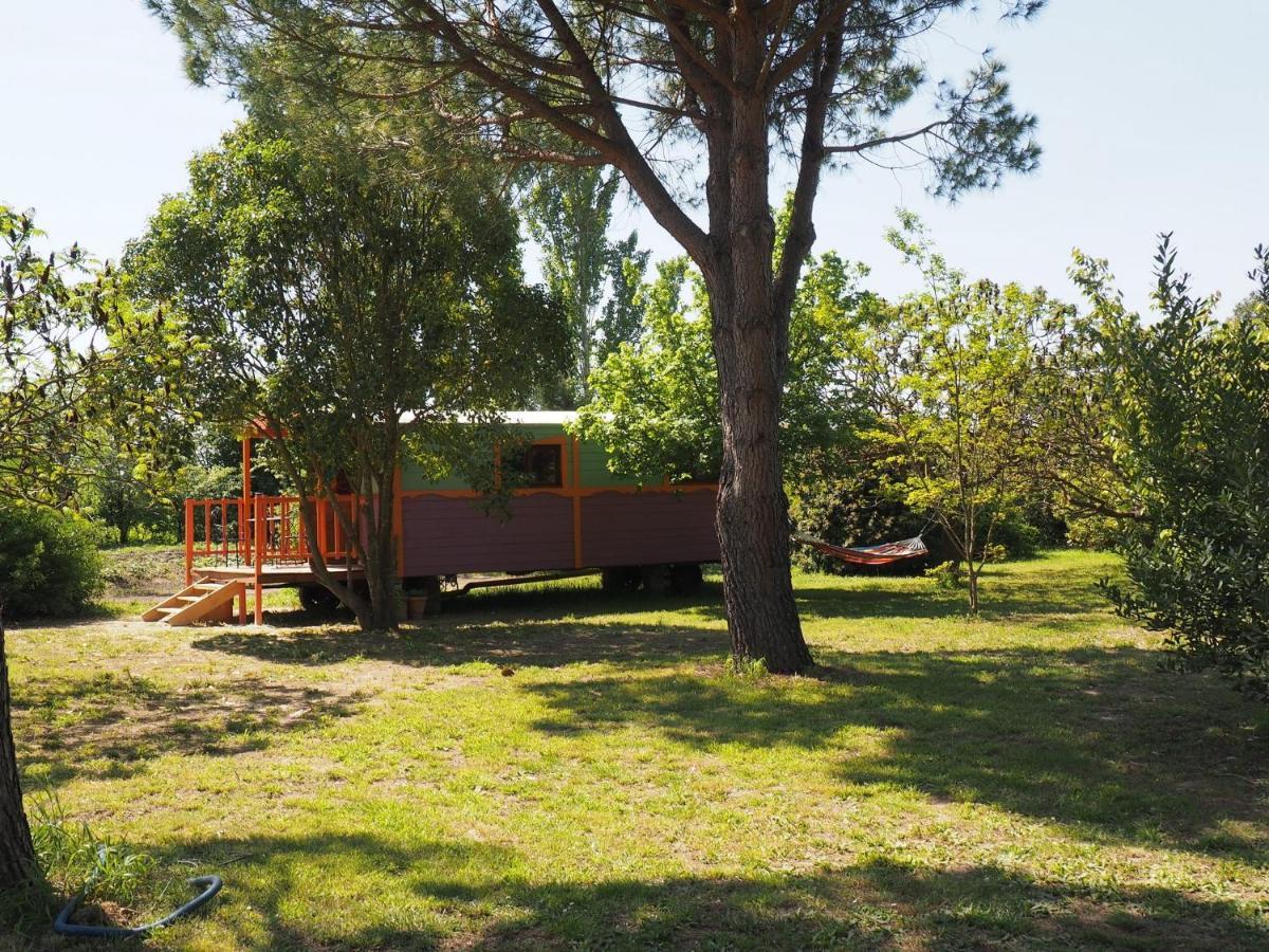 Les Gites Du Domaine De Rhodes Avignon Ruang foto