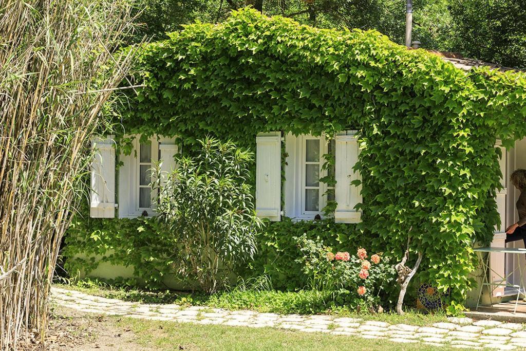 Les Gites Du Domaine De Rhodes Avignon Ruang foto