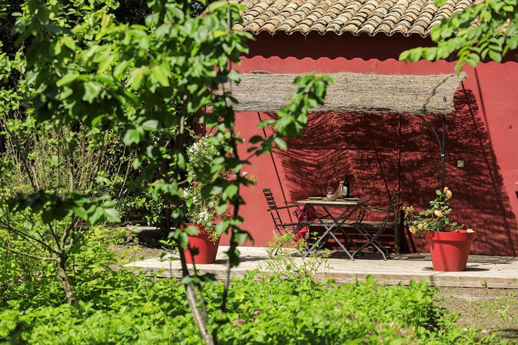 Les Gites Du Domaine De Rhodes Avignon Ruang foto