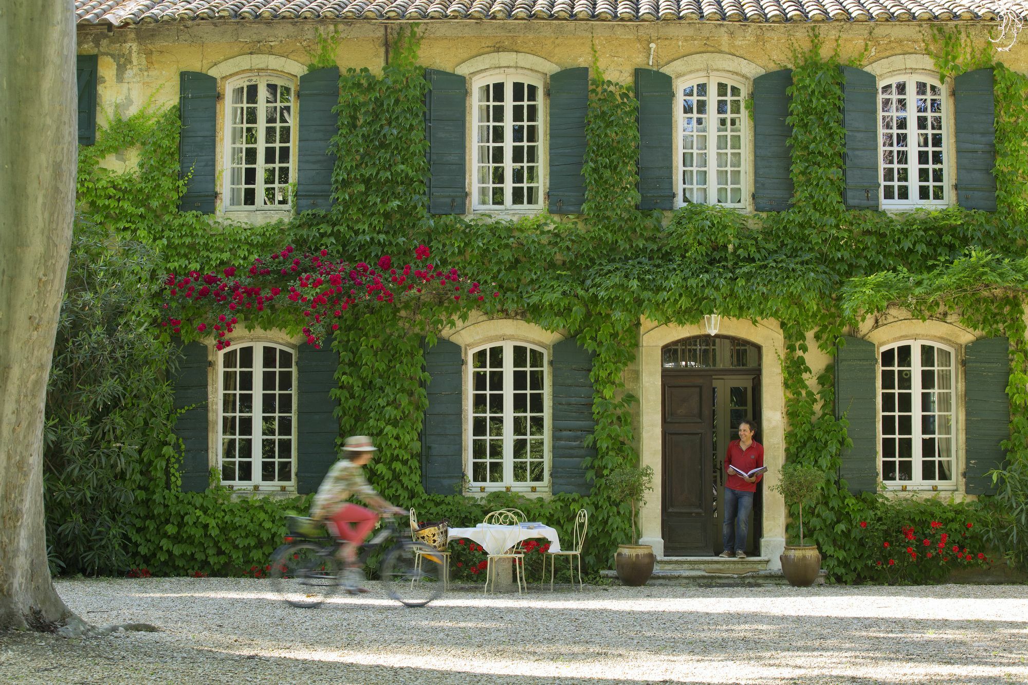 Les Gites Du Domaine De Rhodes Avignon Bagian luar foto