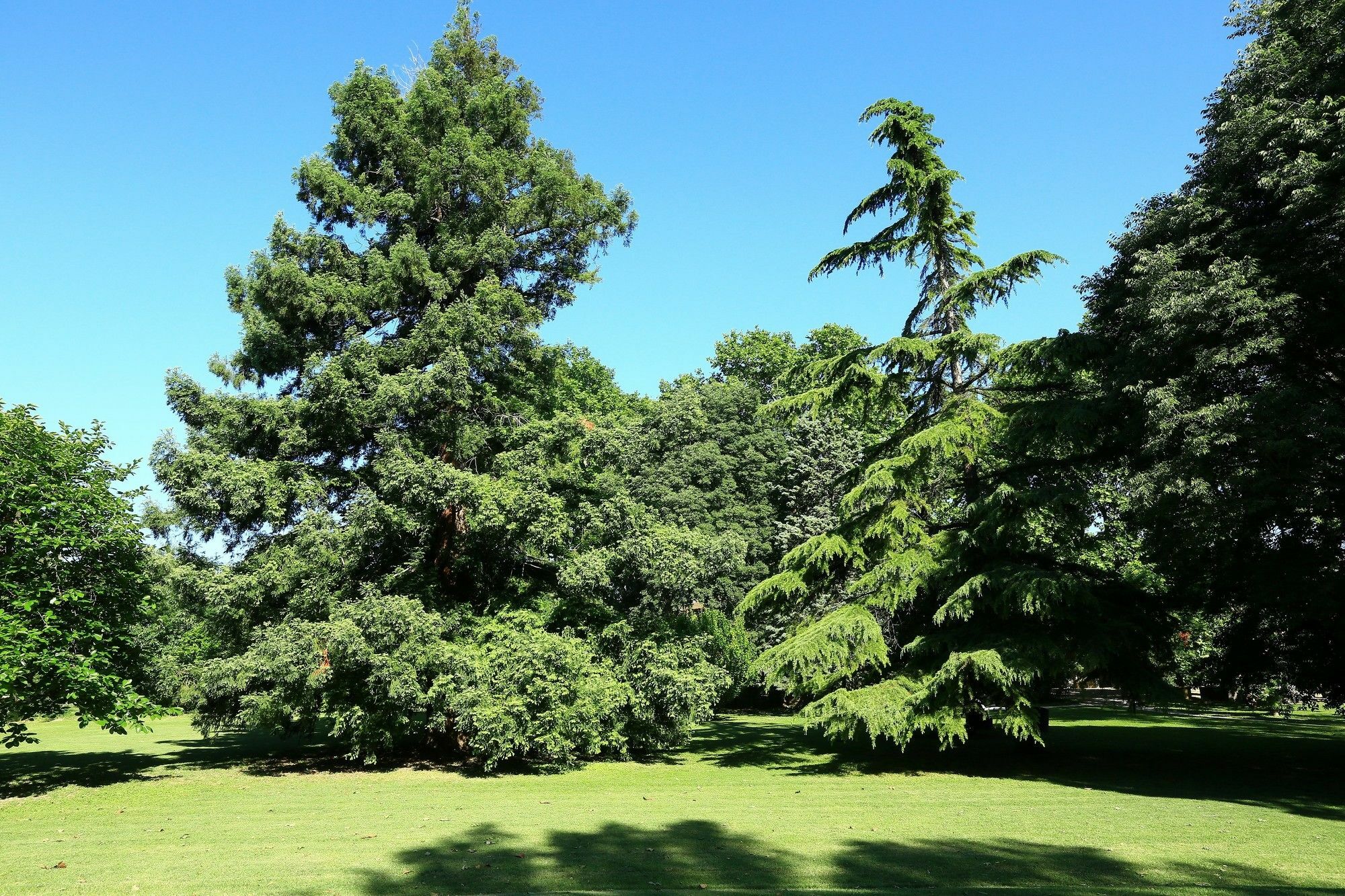 Les Gites Du Domaine De Rhodes Avignon Bagian luar foto